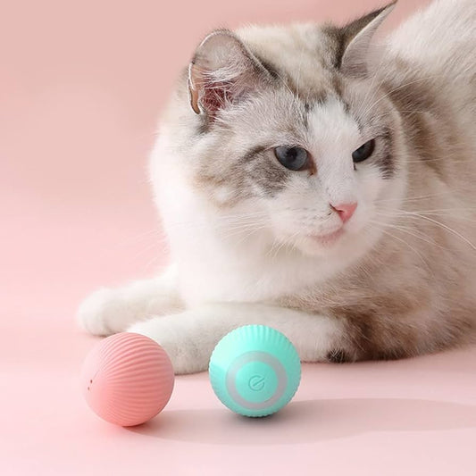 BounceBuddy™ – The Ultimate Interactive Toy Ball for Pets!